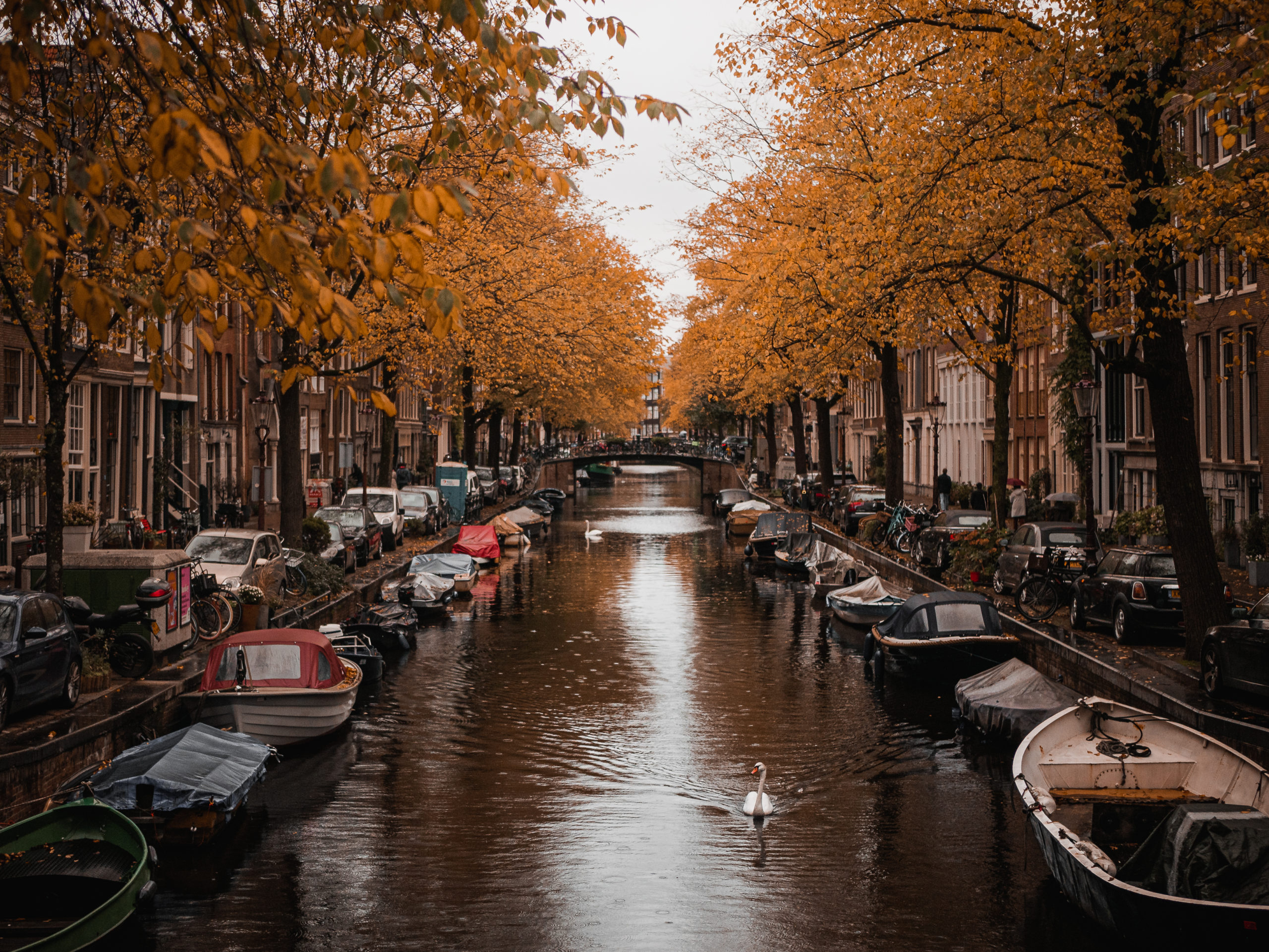 3 jours à Amsterdam en automne